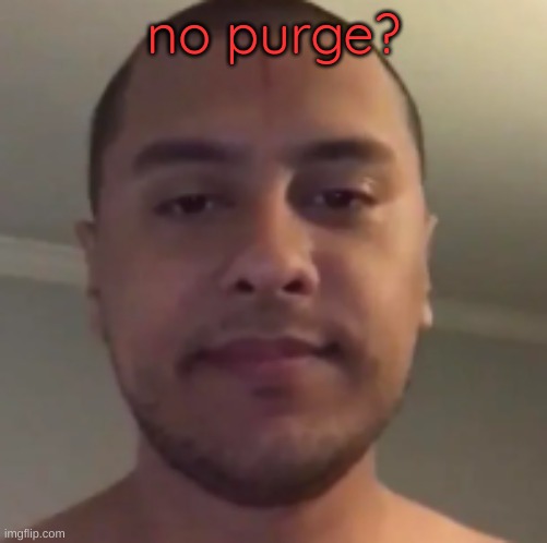 my reaction to that information | no purge? | image tagged in my reaction to that information | made w/ Imgflip meme maker