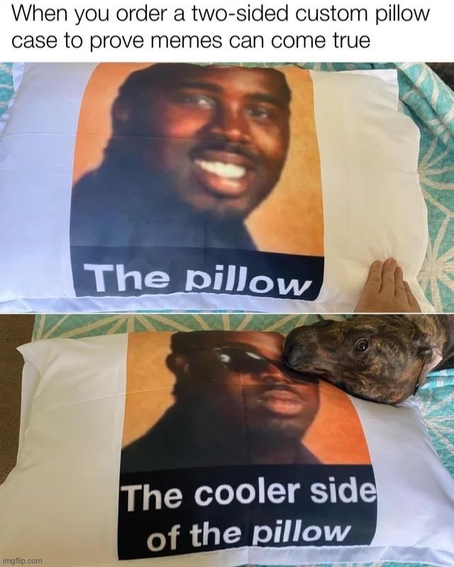 Genius pillow idea | image tagged in memes,funny | made w/ Imgflip meme maker