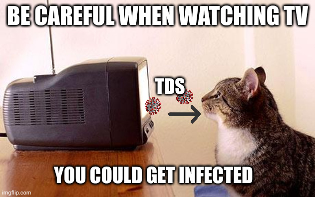 TDS prevention campaign | BE CAREFUL WHEN WATCHING TV; TDS; YOU COULD GET INFECTED | image tagged in cat watching tv,trump derangement syndrome,memes,politics | made w/ Imgflip meme maker