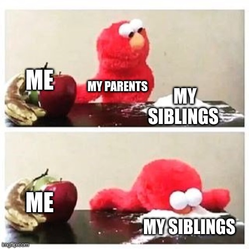 elmo cocaine | ME; MY PARENTS; MY SIBLINGS; ME; MY SIBLINGS | image tagged in elmo cocaine | made w/ Imgflip meme maker