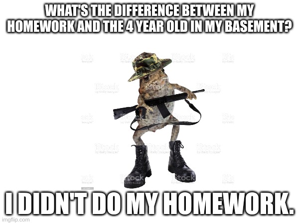 frog cuz Wynaut | WHAT'S THE DIFFERENCE BETWEEN MY HOMEWORK AND THE 4 YEAR OLD IN MY BASEMENT? I DIDN'T DO MY HOMEWORK. | image tagged in frog | made w/ Imgflip meme maker