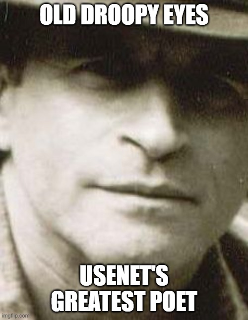 Senetto | OLD DROOPY EYES; USENET'S GREATEST POET | image tagged in senetto | made w/ Imgflip meme maker