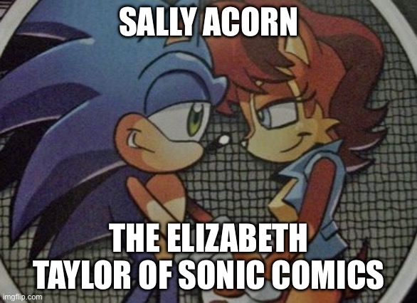Sally the Taylor | SALLY ACORN; THE ELIZABETH TAYLOR OF SONIC COMICS | image tagged in sally elizabeth acorn,elizabeth taylor,sally acorn,sonic the hedgehog,comics,funny memes | made w/ Imgflip meme maker