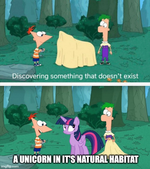 Discovering something that doesn't exist | A UNICORN IN IT'S NATURAL HABITAT | image tagged in discovering something that doesn't exist | made w/ Imgflip meme maker