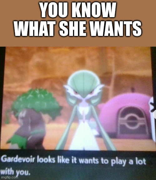 yeah i reached max bond with her too | YOU KNOW WHAT SHE WANTS | image tagged in gardevoir,pokemon | made w/ Imgflip meme maker