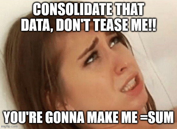 Your going to make me Cum | CONSOLIDATE THAT DATA, DON'T TEASE ME!! YOU'RE GONNA MAKE ME =SUM | image tagged in your going to make me cum | made w/ Imgflip meme maker