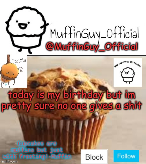 hahahah | today is my birthday but im pretty sure no one gives a shit | image tagged in muffinguy_official's template | made w/ Imgflip meme maker