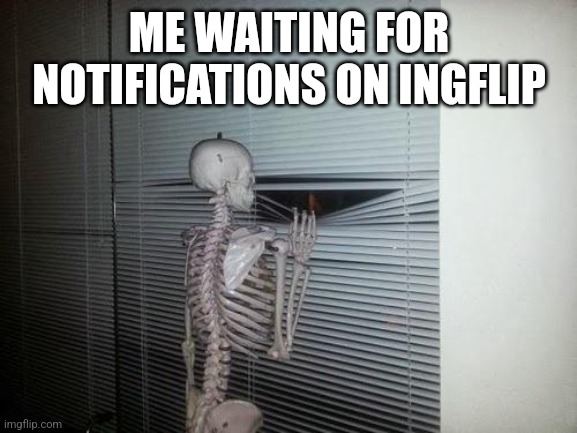 True | ME WAITING FOR NOTIFICATIONS ON INGFLIP | image tagged in skeleton looking out window | made w/ Imgflip meme maker