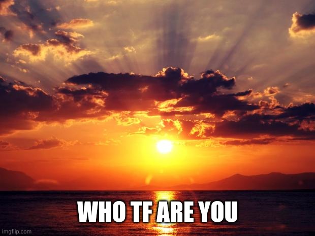 Sunset | WHO TF ARE YOU | image tagged in sunset | made w/ Imgflip meme maker