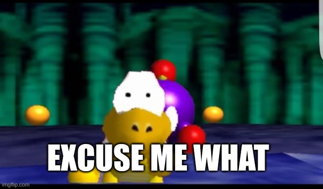 Scared Koopa 2.0 | EXCUSE ME WHAT | image tagged in scared koopa 2 0 | made w/ Imgflip meme maker