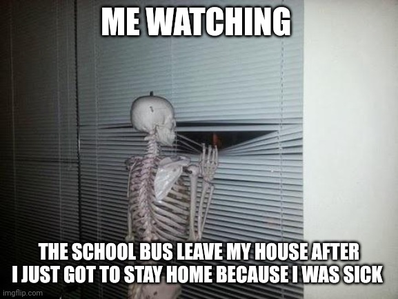 No Scool Fur Me!!! | ME WATCHING; THE SCHOOL BUS LEAVE MY HOUSE AFTER I JUST GOT TO STAY HOME BECAUSE I WAS SICK | image tagged in skeleton looking out window | made w/ Imgflip meme maker