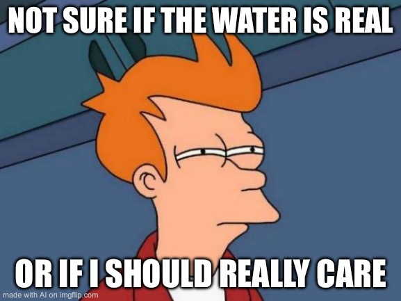 is what water? | NOT SURE IF THE WATER IS REAL; OR IF I SHOULD REALLY CARE | image tagged in memes,futurama fry | made w/ Imgflip meme maker