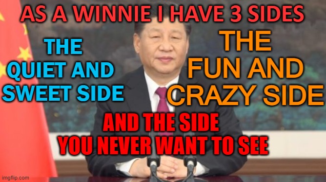 As a WINNIE I have 3 sides | AS A WINNIE I HAVE 3 SIDES; THE QUIET AND 
SWEET SIDE; THE FUN AND CRAZY SIDE; AND THE SIDE 
YOU NEVER WANT TO SEE | image tagged in china's emboldened xi | made w/ Imgflip meme maker