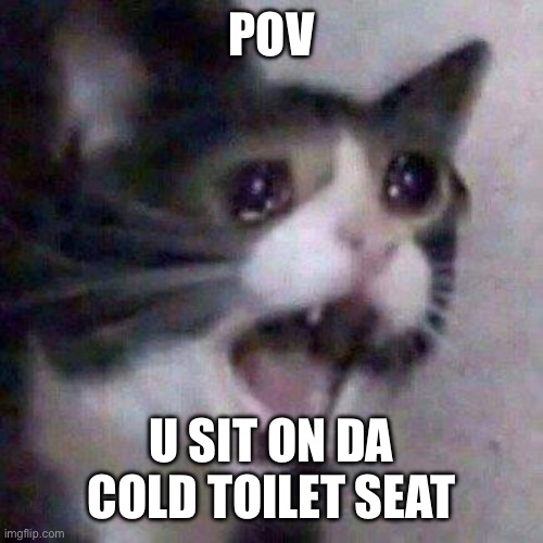 Cat Screaming | POV; U SIT ON DA COLD TOILET SEAT | image tagged in cat screaming | made w/ Imgflip meme maker