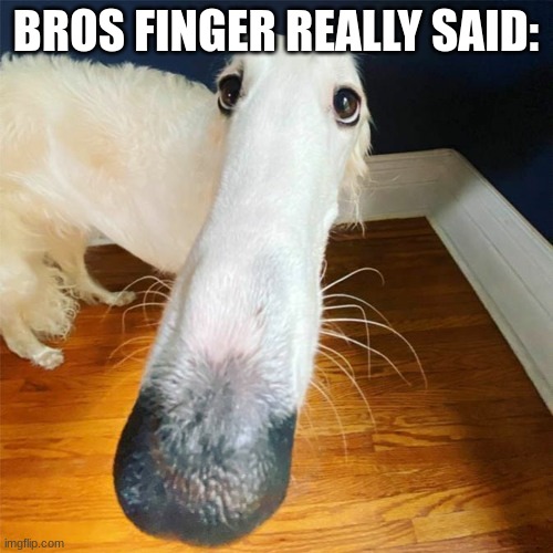 Let me do it for you... | BROS FINGER REALLY SAID: | image tagged in let me do it for you | made w/ Imgflip meme maker