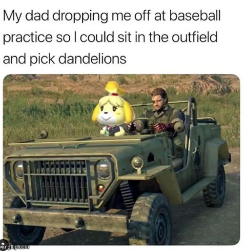 lol i play baseball so this was perfect | image tagged in bruh,lol,ok,funny | made w/ Imgflip meme maker