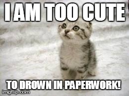 Sad Cat Meme | I AM TOO CUTE TO DROWN IN PAPERWORK! | image tagged in memes,sad cat | made w/ Imgflip meme maker
