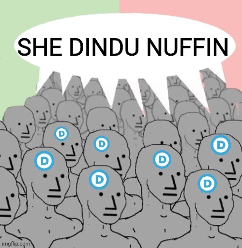 Democrat Npc Meme | SHE DINDU NUFFIN | image tagged in democrat npc meme | made w/ Imgflip meme maker