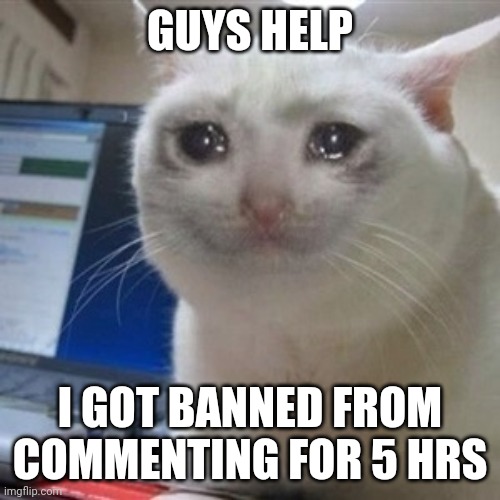 Sad ? | GUYS HELP; I GOT BANNED FROM COMMENTING FOR 5 HRS | image tagged in crying cat | made w/ Imgflip meme maker