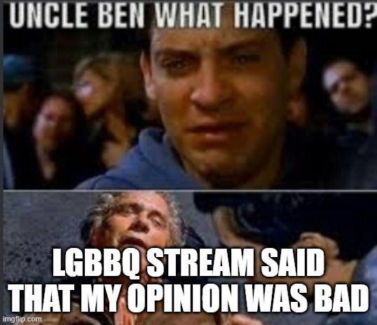 They think it hurts us lol | LGBBQ STREAM SAID THAT MY OPINION WAS BAD | image tagged in uncle ben what happened | made w/ Imgflip meme maker