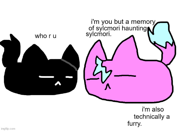 cat | made w/ Imgflip meme maker