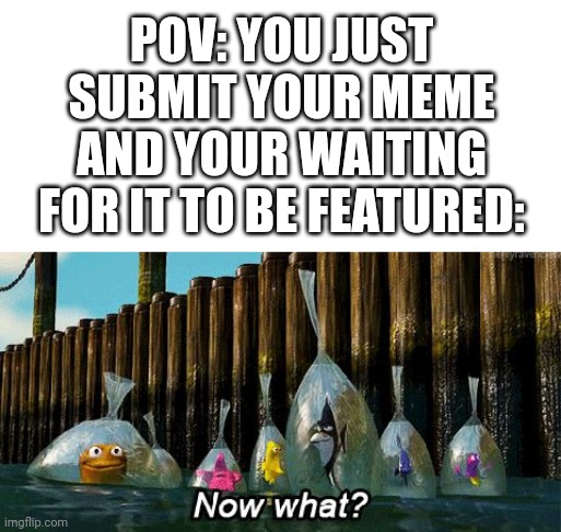 POV: YOU JUST SUBMIT YOUR MEME AND YOUR WAITING FOR IT TO BE FEATURED: | image tagged in now what,memes | made w/ Imgflip meme maker