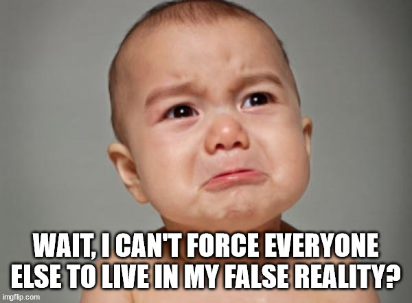 Crying Baby | WAIT, I CAN'T FORCE EVERYONE ELSE TO LIVE IN MY FALSE REALITY? | image tagged in crying baby | made w/ Imgflip meme maker