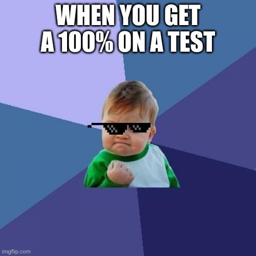 When you get a hundred | WHEN YOU GET A 100% ON A TEST | image tagged in success kid original | made w/ Imgflip meme maker