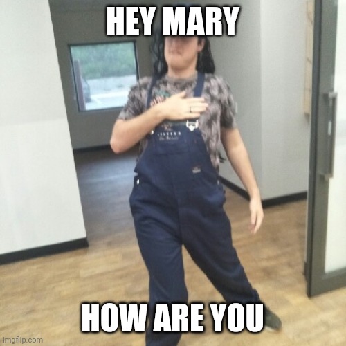 IRL | HEY MARY; HOW ARE YOU | image tagged in funny memes,sexy princess,funny | made w/ Imgflip meme maker