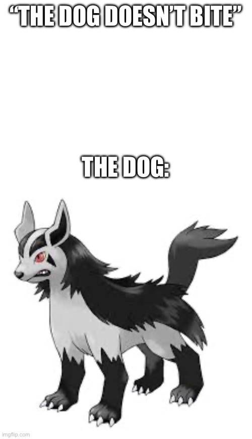 Mightyena thoughts: “what a delicious looking hand, ooh it’s heading straight towards me!” | “THE DOG DOESN’T BITE”; THE DOG: | image tagged in pokemon | made w/ Imgflip meme maker