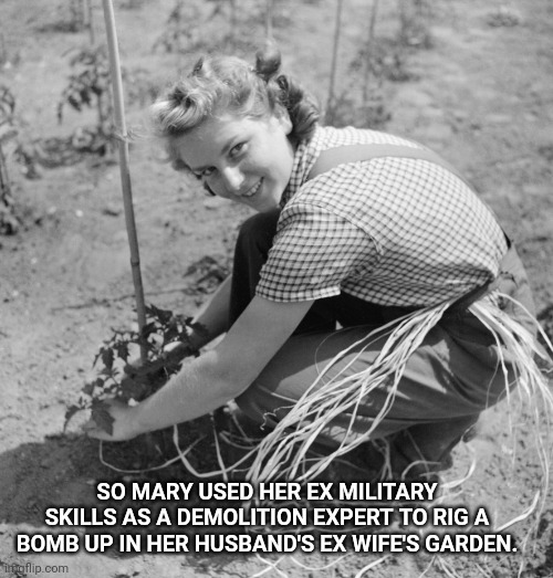 Military Skills | SO MARY USED HER EX MILITARY SKILLS AS A DEMOLITION EXPERT TO RIG A BOMB UP IN HER HUSBAND'S EX WIFE'S GARDEN. | image tagged in vintage housewife,military,bomb,memes,garden,ex wife | made w/ Imgflip meme maker