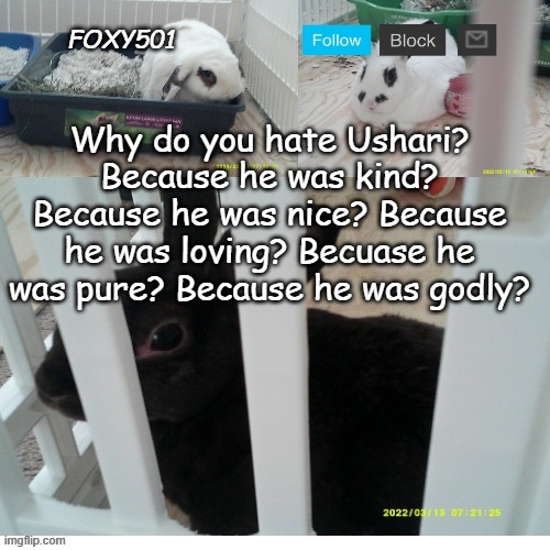 Why? | Why do you hate Ushari? Because he was kind? Because he was nice? Because he was loving? Becuase he was pure? Because he was godly? | image tagged in foxy501 announcement template | made w/ Imgflip meme maker
