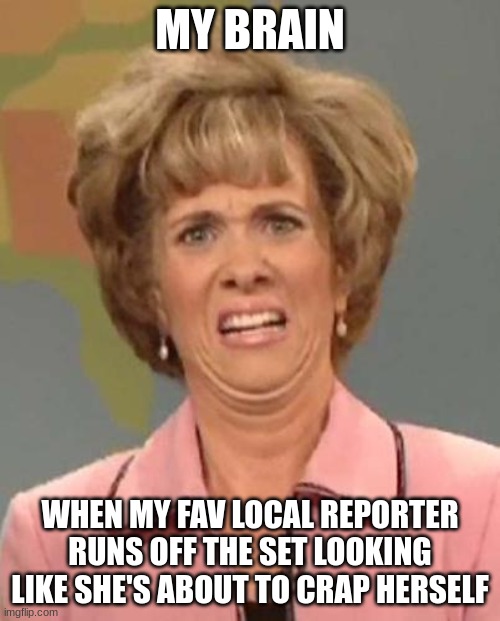 first, my local weatherman getting diarrhea, and now my fav local reporter! i'll be making more fav reporter diarrhea memes! | MY BRAIN; WHEN MY FAV LOCAL REPORTER RUNS OFF THE SET LOOKING LIKE SHE'S ABOUT TO CRAP HERSELF | image tagged in diarrhea,reporter,sick reporter,diarrhea reporter,funny,wtf | made w/ Imgflip meme maker