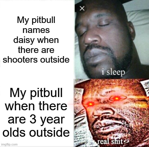 Real shit | My pitbull names daisy when there are shooters outside; My pitbull when there are 3 year olds outside | image tagged in memes,sleeping shaq | made w/ Imgflip meme maker
