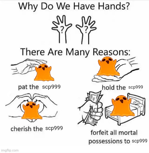 Why do we have hands? (all blank) | scp999; scp999; scp999; scp999 | image tagged in why do we have hands all blank | made w/ Imgflip meme maker