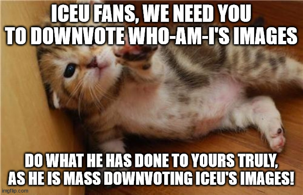 Help Me Kitten | ICEU FANS, WE NEED YOU TO DOWNVOTE WHO-AM-I'S IMAGES; DO WHAT HE HAS DONE TO YOURS TRULY, AS HE IS MASS DOWNVOTING ICEU'S IMAGES! | image tagged in help me kitten | made w/ Imgflip meme maker
