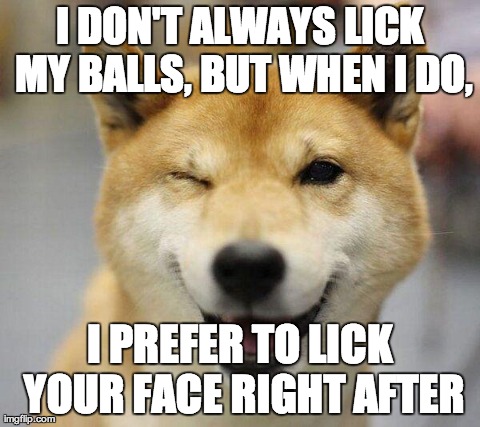 I DON'T ALWAYS LICK MY BALLS, BUT WHEN I DO, I PREFER TO LICK YOUR FACE RIGHT AFTER | image tagged in cheerupdog | made w/ Imgflip meme maker