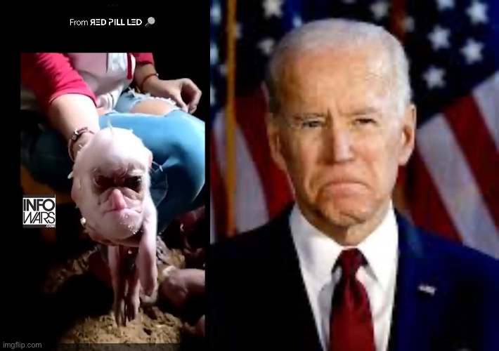 image tagged in joe biden,donald trump,republicans,science | made w/ Imgflip meme maker