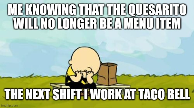 Sure, you get the diarrhea but it's worth it! | ME KNOWING THAT THE QUESARITO WILL NO LONGER BE A MENU ITEM; THE NEXT SHIFT I WORK AT TACO BELL | image tagged in depressed charlie brown | made w/ Imgflip meme maker