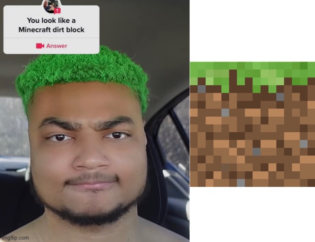 I LOOK LIKE A MINECRAFT D I R T   B L O C K | image tagged in square head | made w/ Imgflip meme maker