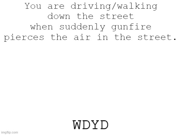 You are driving/walking down the street when suddenly gunfire pierces the air in the street. WDYD | made w/ Imgflip meme maker