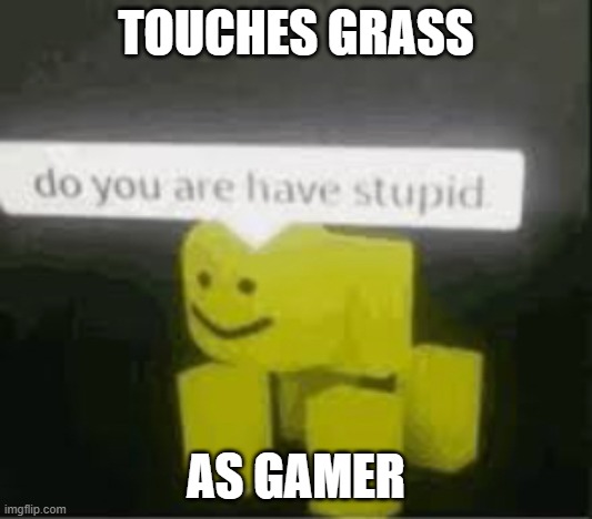 do you are have stupid | TOUCHES GRASS; AS GAMER | image tagged in do you are have stupid | made w/ Imgflip meme maker