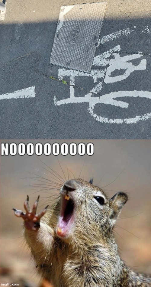 Bike sign fail | image tagged in noooooooooooooooooooooooo,you had one job,memes,bike,bicycle,fails | made w/ Imgflip meme maker