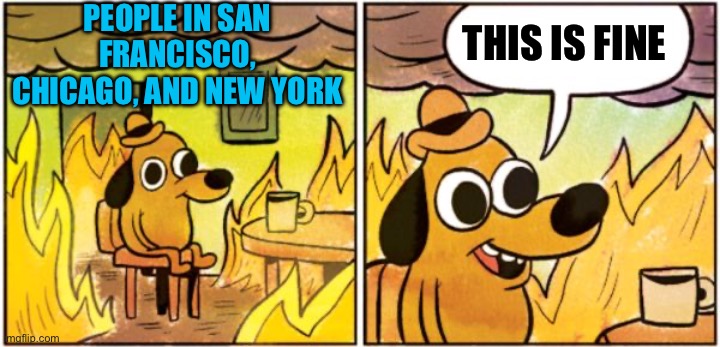 Everything is going according to plan | PEOPLE IN SAN FRANCISCO, CHICAGO, AND NEW YORK; THIS IS FINE | image tagged in burning dog,stupid leftists,leftists love crime and violence,blue cities get what they deserve | made w/ Imgflip meme maker