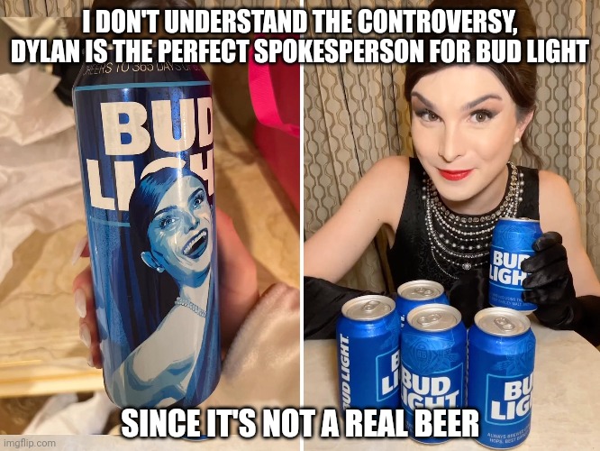 The Blue Fairy | I DON'T UNDERSTAND THE CONTROVERSY, DYLAN IS THE PERFECT SPOKESPERSON FOR BUD LIGHT; SINCE IT'S NOT A REAL BEER | image tagged in memes,politics,bud light,dylan mulvaney | made w/ Imgflip meme maker
