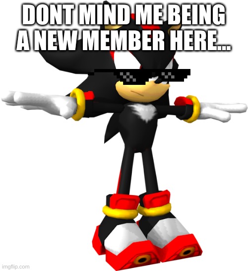 shadow the hedgehog t pose | DONT MIND ME BEING A NEW MEMBER HERE... | image tagged in shadow the hedgehog t pose | made w/ Imgflip meme maker