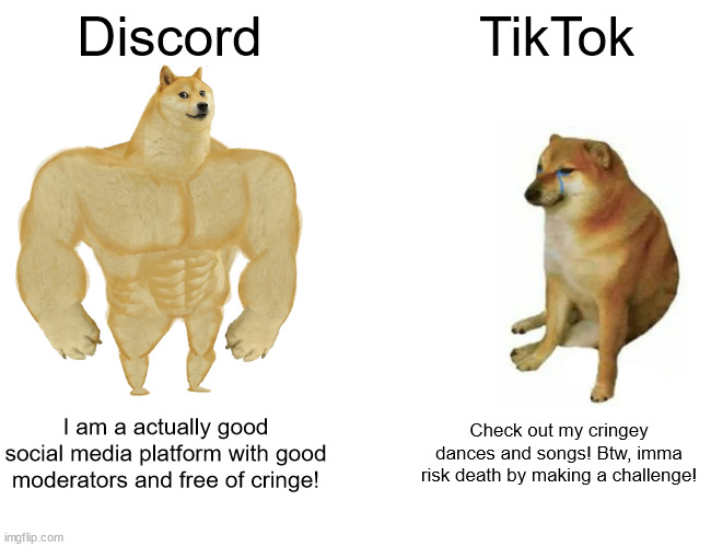 If you use TikTok, then you are under the spell of cringe | Discord; TikTok; I am a actually good social media platform with good moderators and free of cringe! Check out my cringey dances and songs! Btw, imma risk death by making a challenge! | image tagged in memes,buff doge vs cheems | made w/ Imgflip meme maker