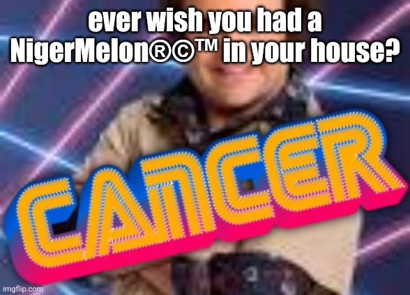 Schwoz Cancer | ever wish you had a NigerMelon®️©️™️ in your house? | image tagged in schwoz cancer | made w/ Imgflip meme maker