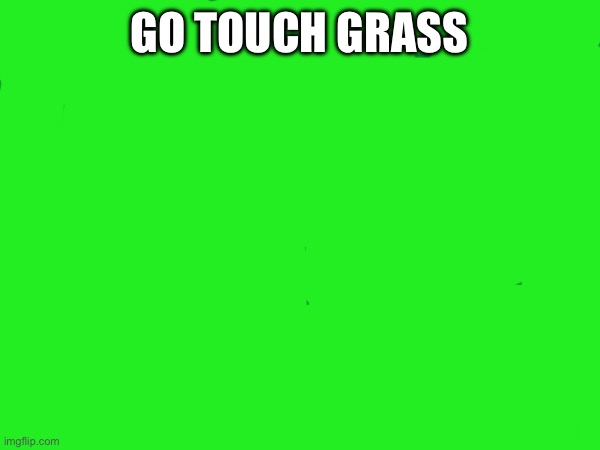 Do it | GO TOUCH GRASS | image tagged in funny | made w/ Imgflip meme maker