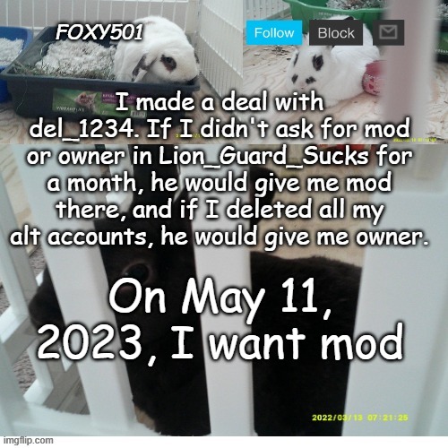 Foxy501 announcement template | I made a deal with del_1234. If I didn't ask for mod or owner in Lion_Guard_Sucks for a month, he would give me mod there, and if I deleted all my alt accounts, he would give me owner. On May 11, 2023, I want mod | image tagged in foxy501 announcement template | made w/ Imgflip meme maker